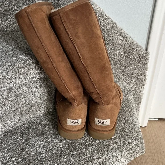 UGG Chestnut Suede Tall Boots - Picture 2 of 4